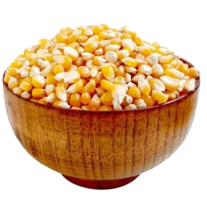 maize