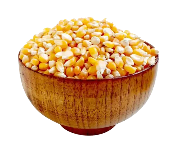 maize