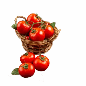 tomato